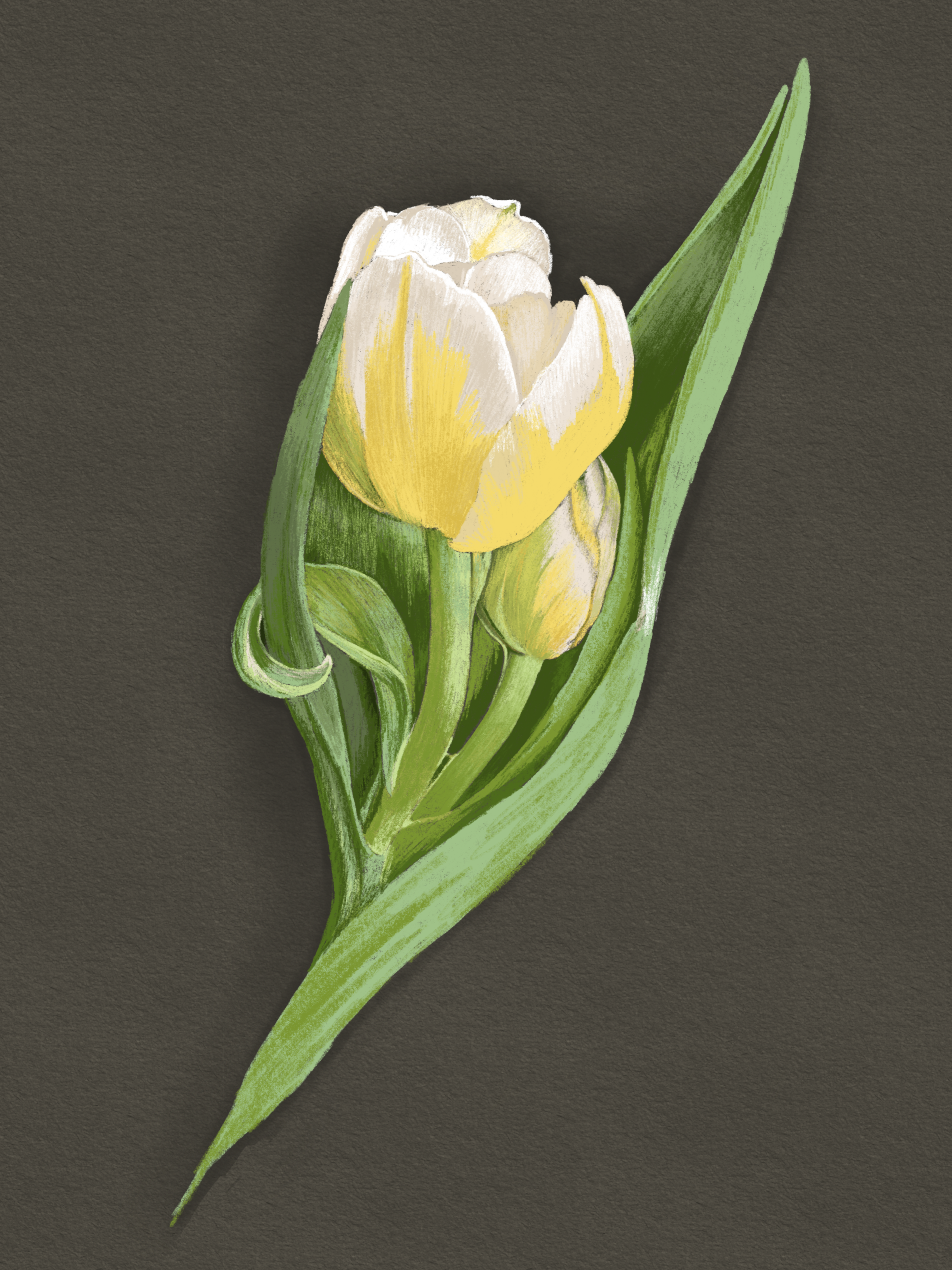 Generations - Image 1