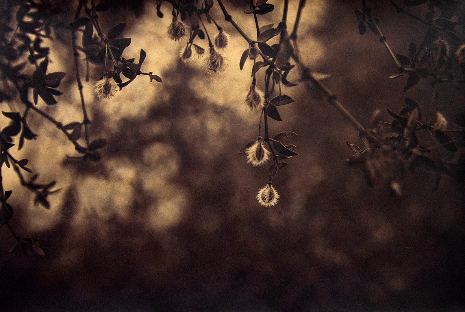 ArtRx: the Mind-Body Connection gallery photo 1