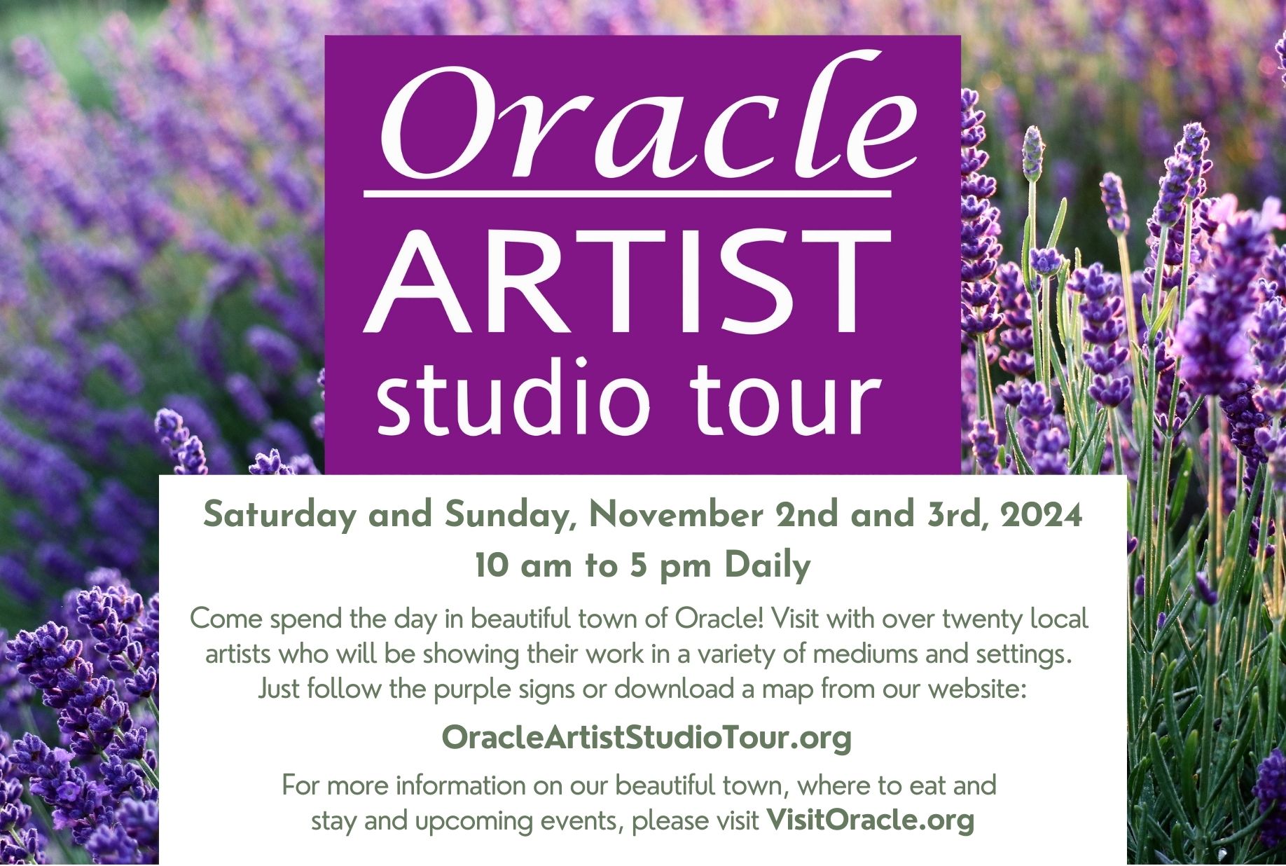 Oracle Artist Studio Tour