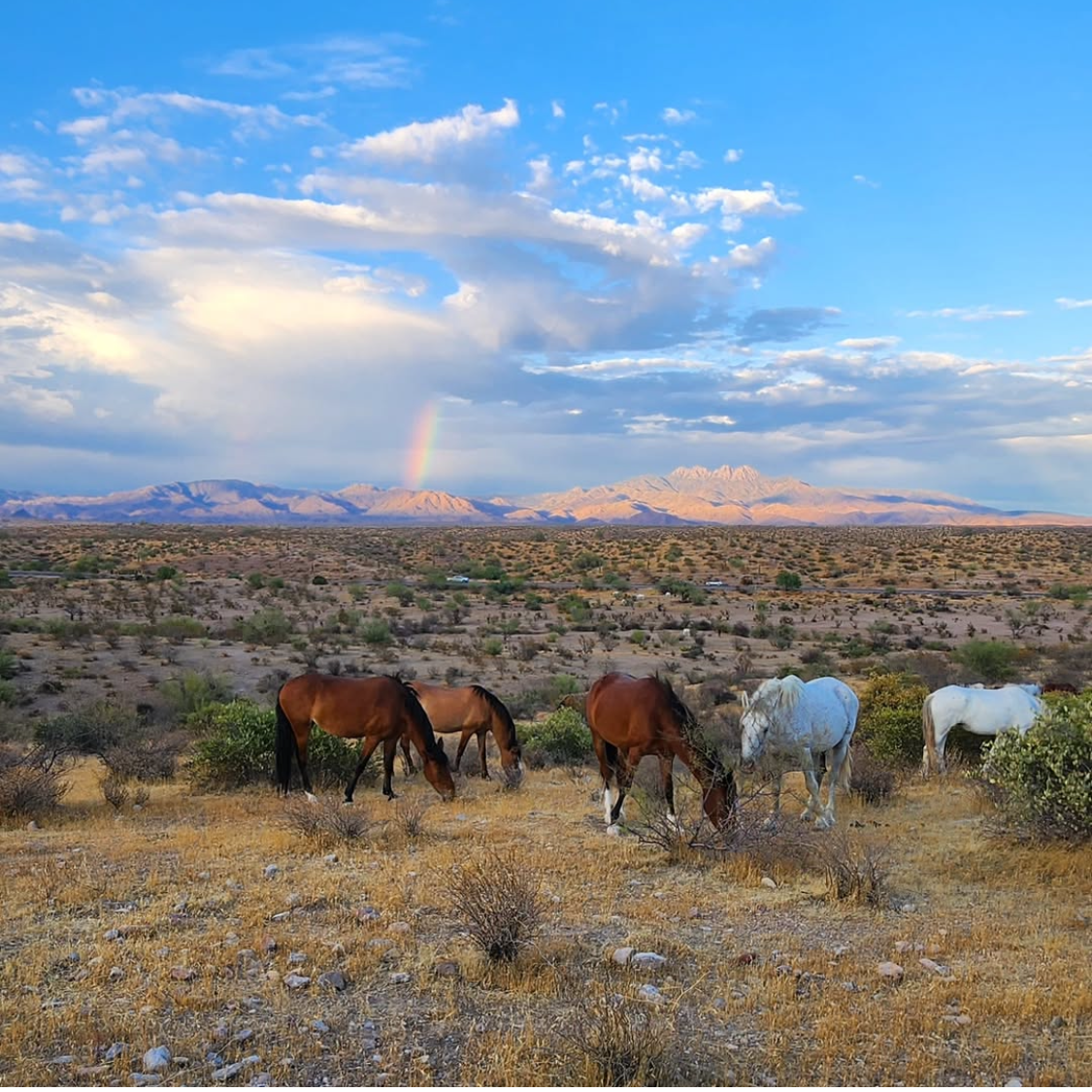 Jackie Marlowe Nature Photography Show gallery photo 1