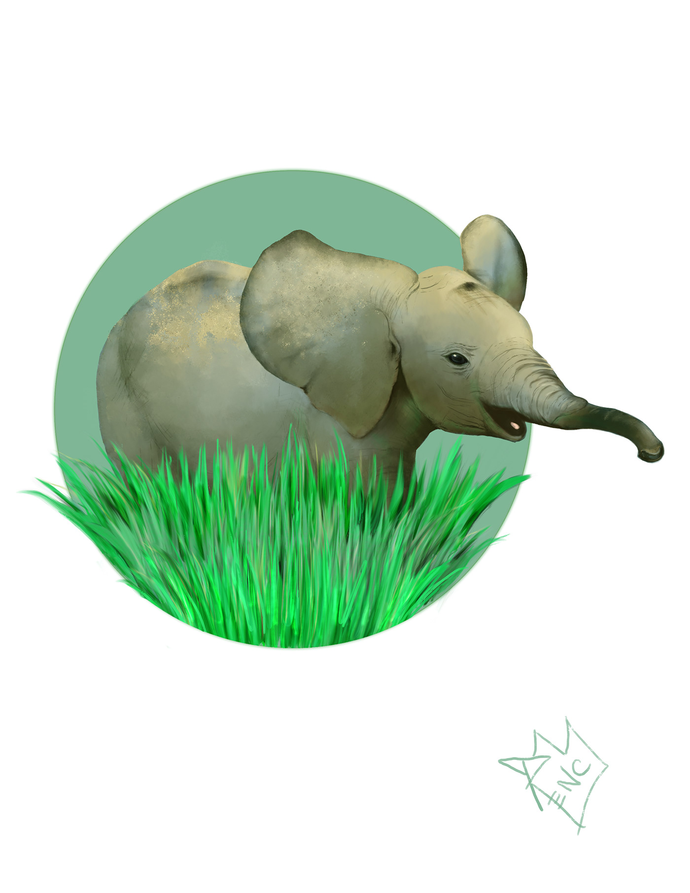 Animal Studies - Image 2