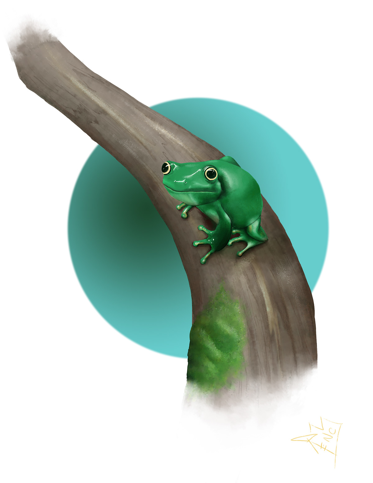 Animal Studies - Image 3