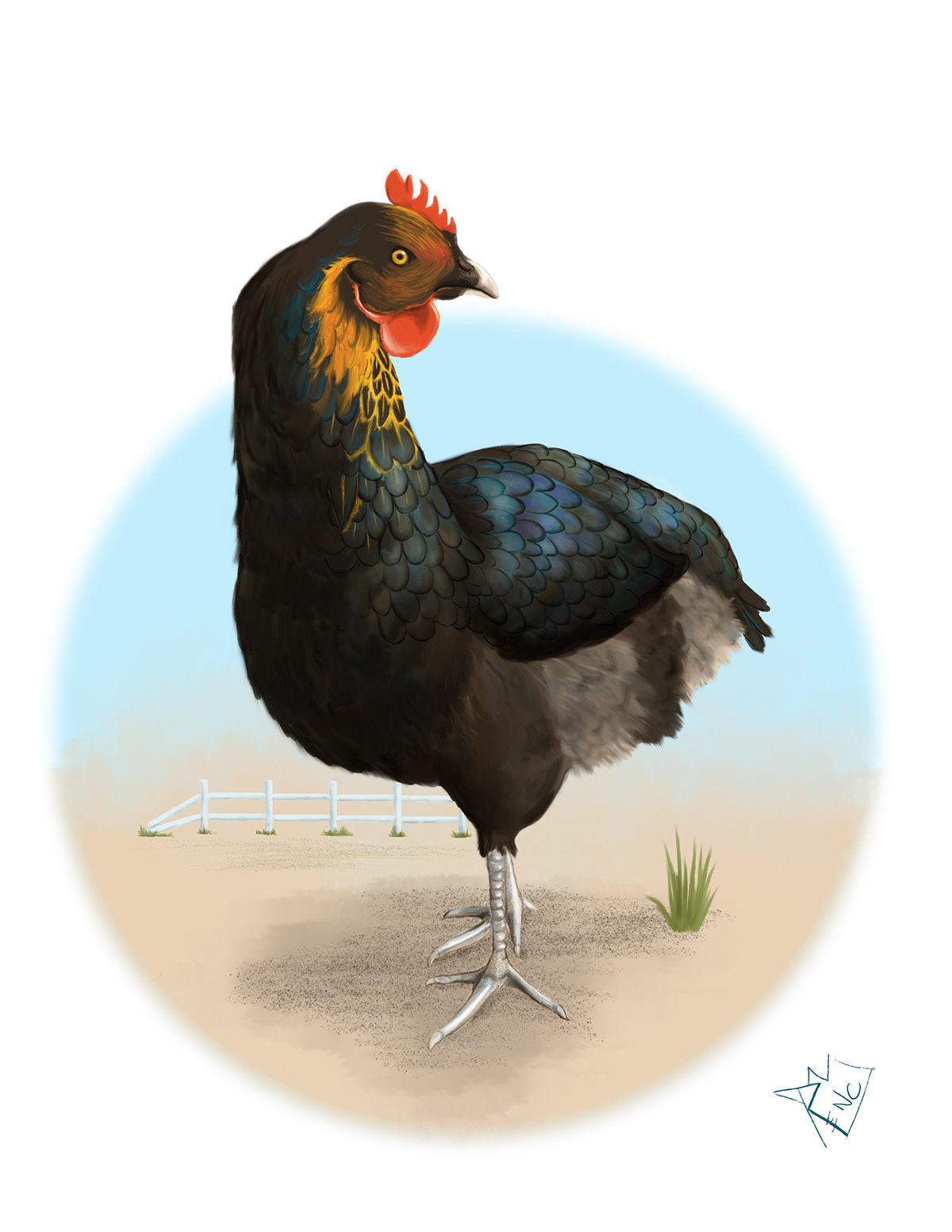 Animal Studies - Image 7