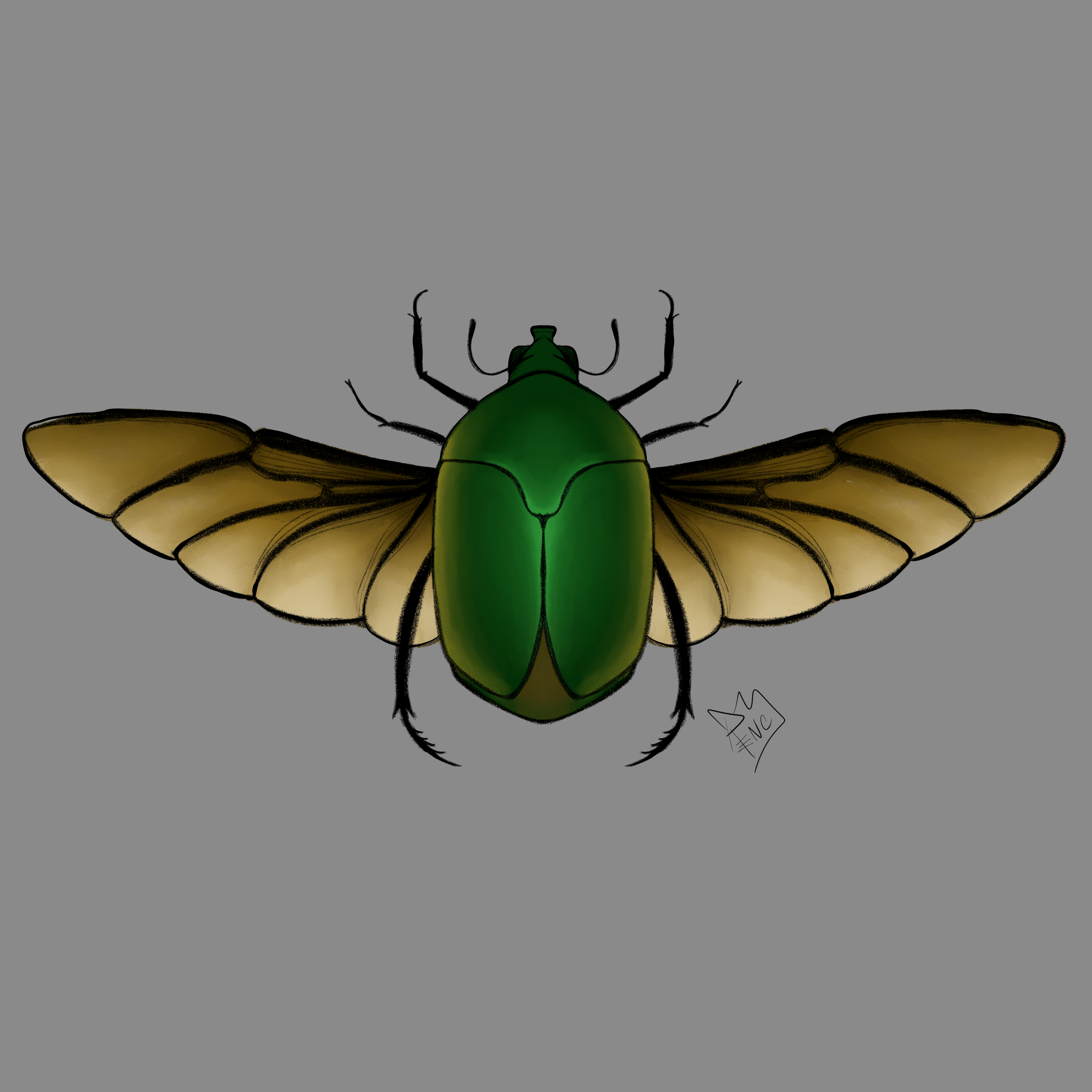 DoodleBugs - Image 2