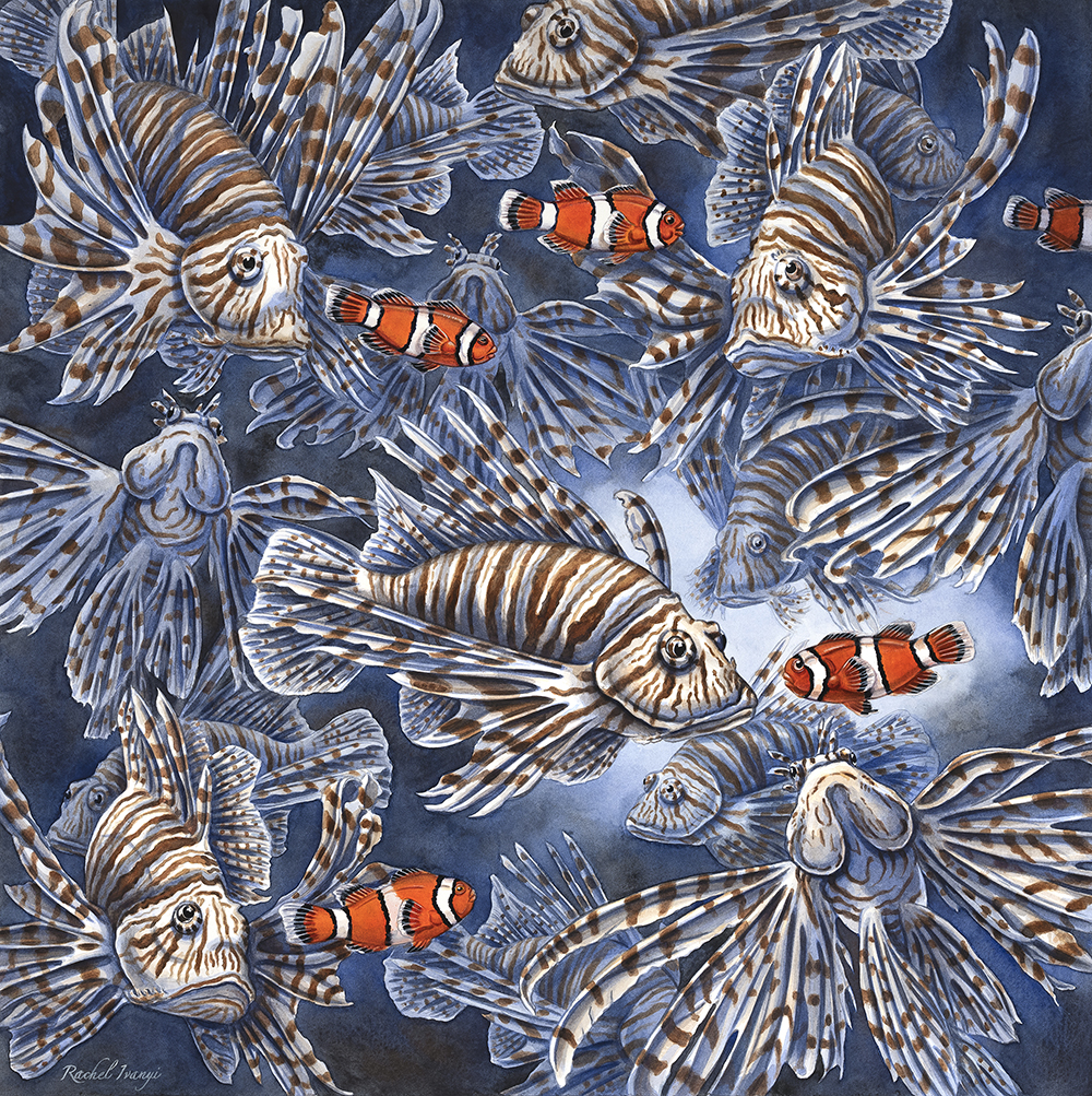 In Your Wildest Dreams