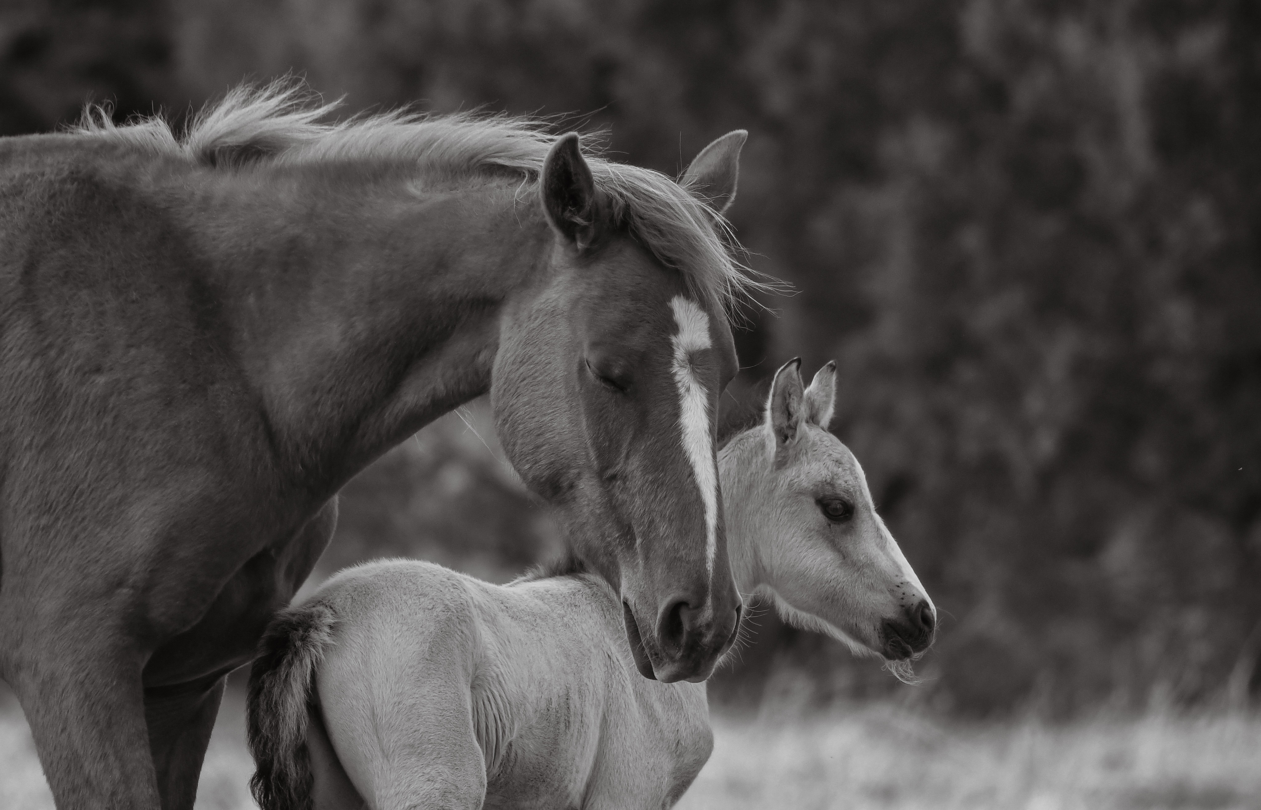 Between Worlds - Image 2