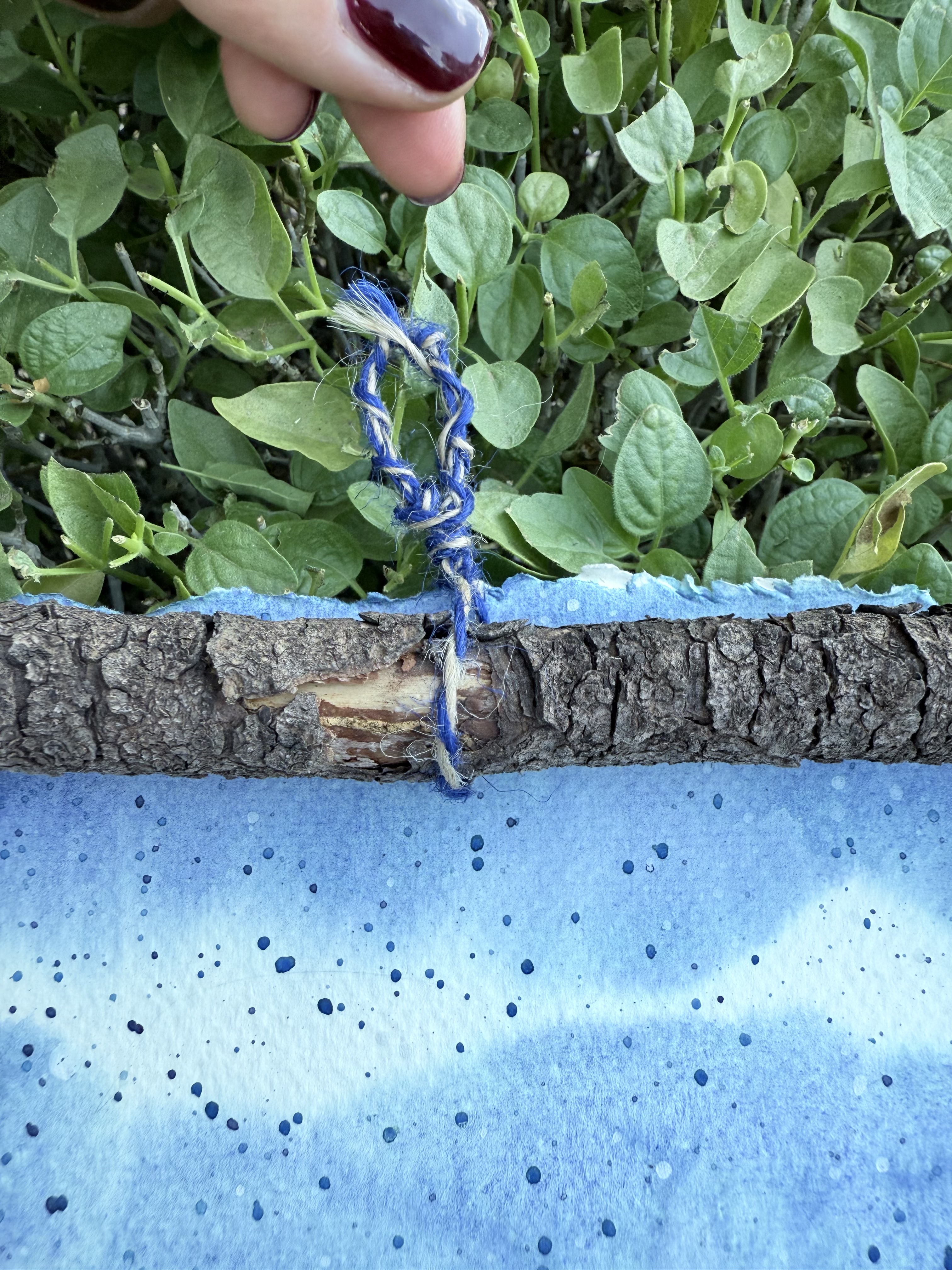 Lavender Field - Image 2