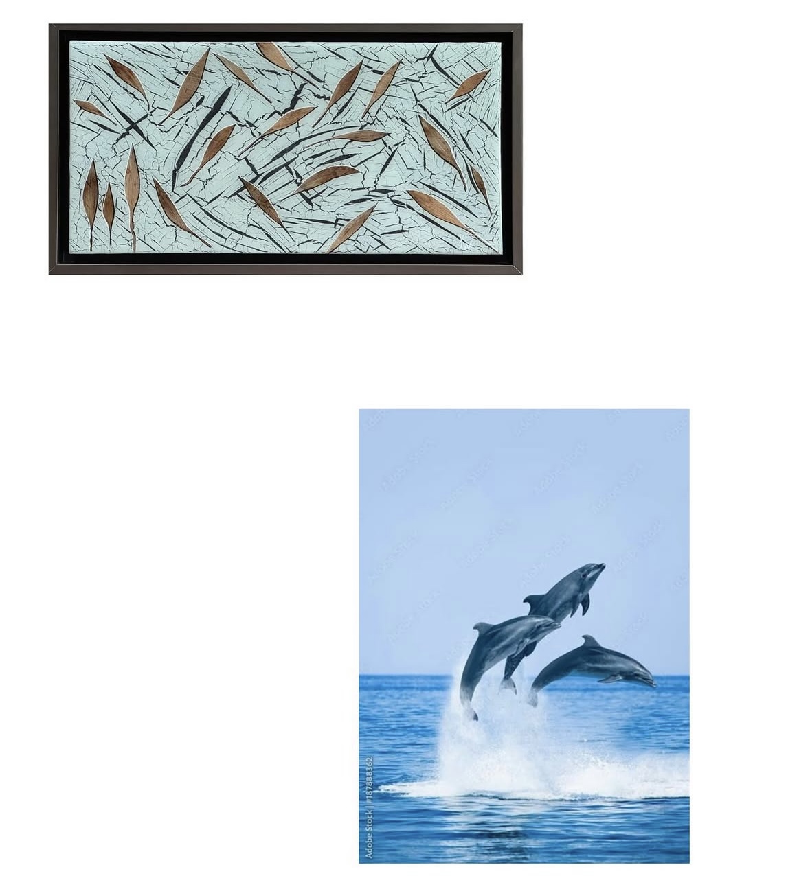 Dolphins - Image 3