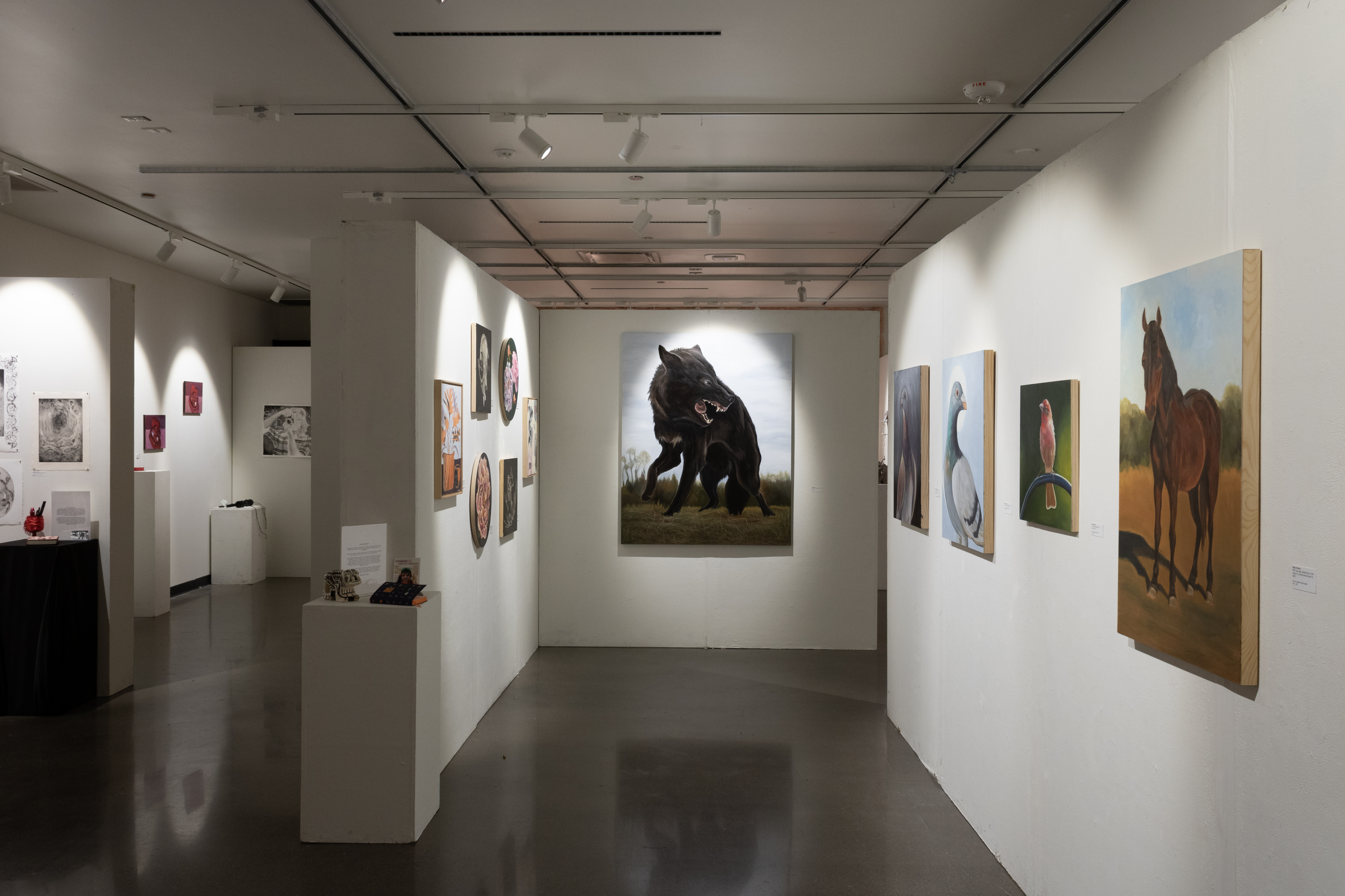 Nothing to Apologize For - Image 2