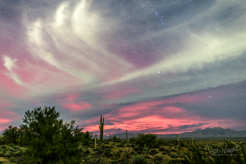 The Horseman - Image 2