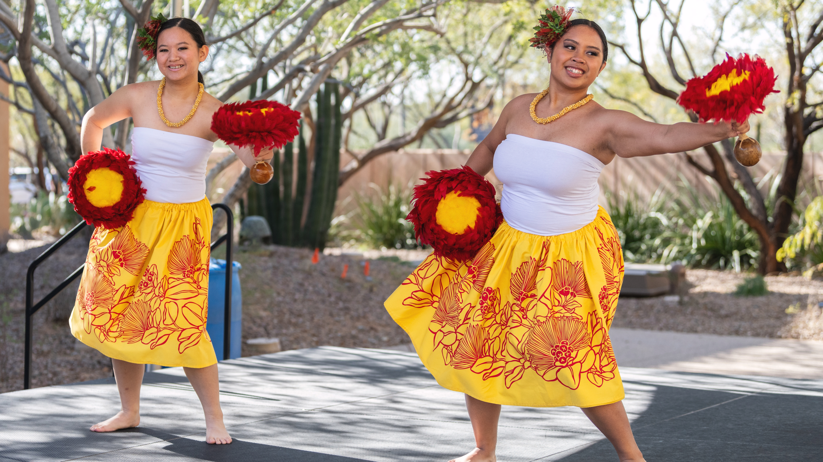 Experience Polynesia