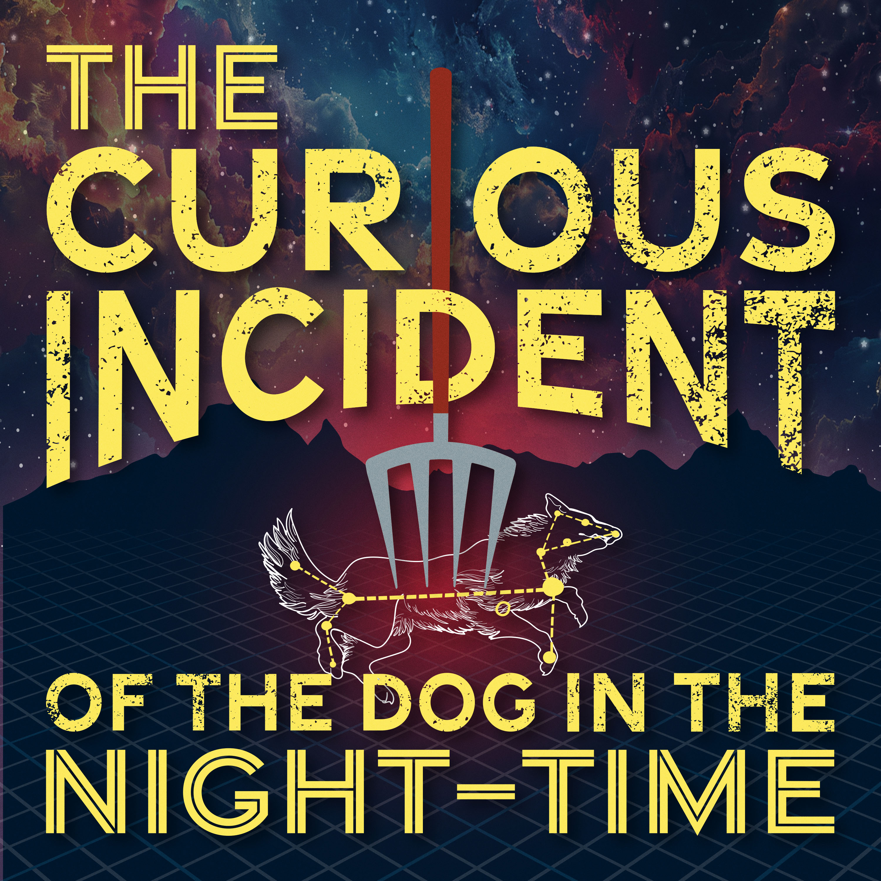 The Curious Incident of the Dog in the Night-Time