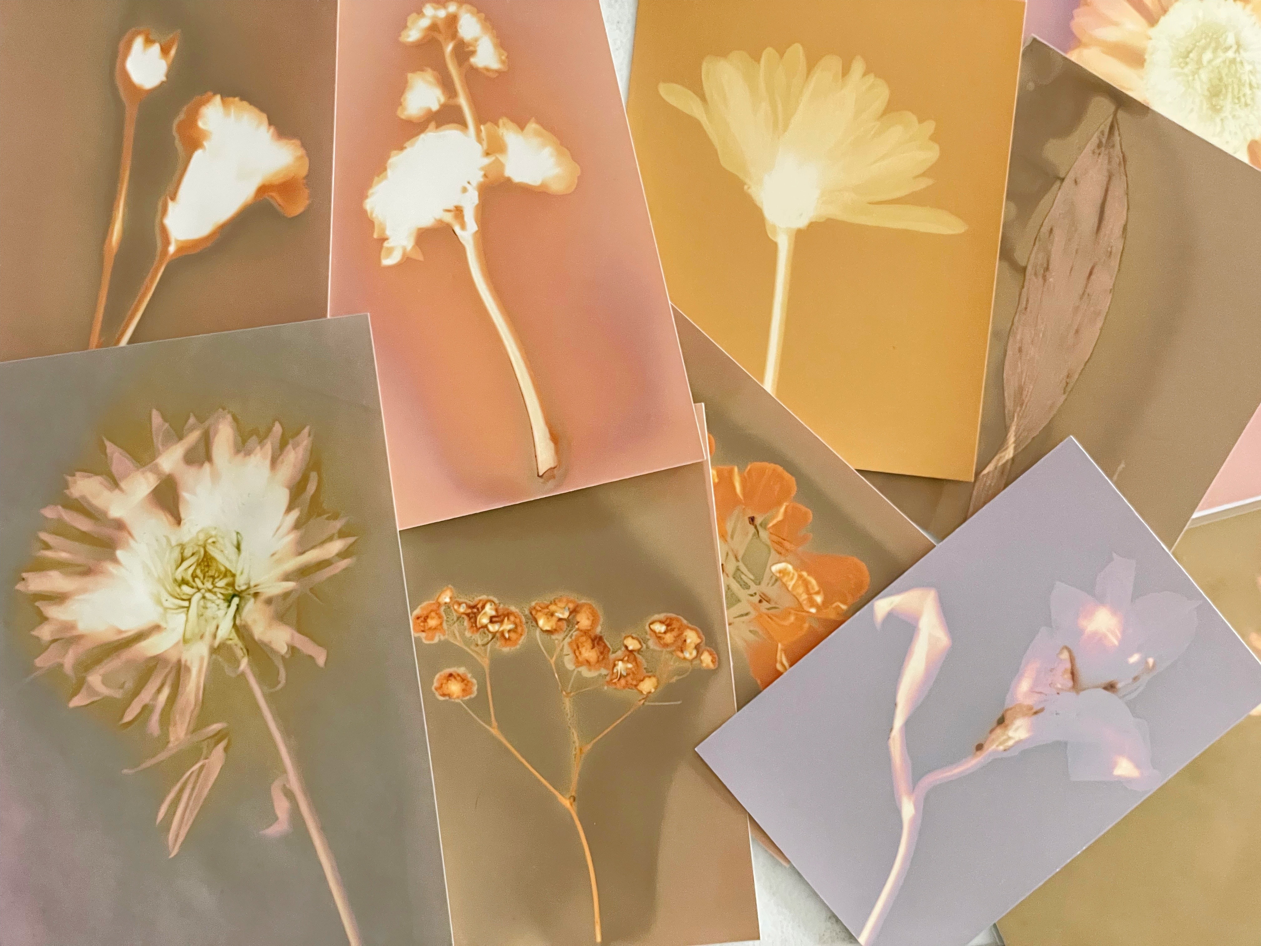 Lumen Print Workshop