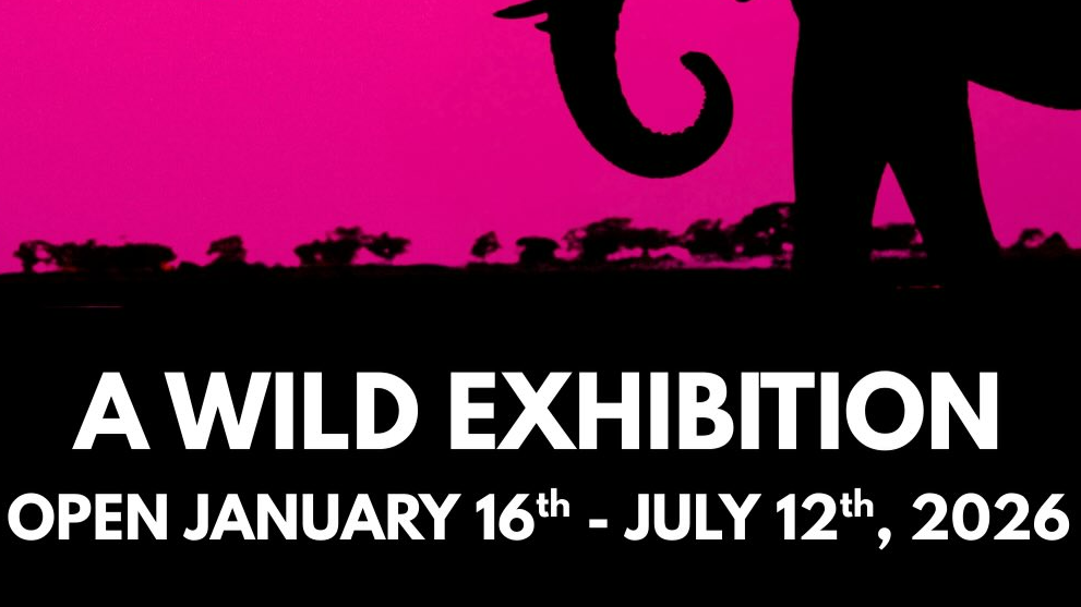 Where the Wild Things Stay