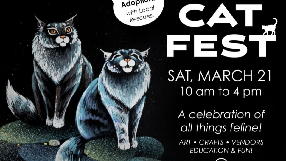 Mesa Historical Mew-seum CAT FEST