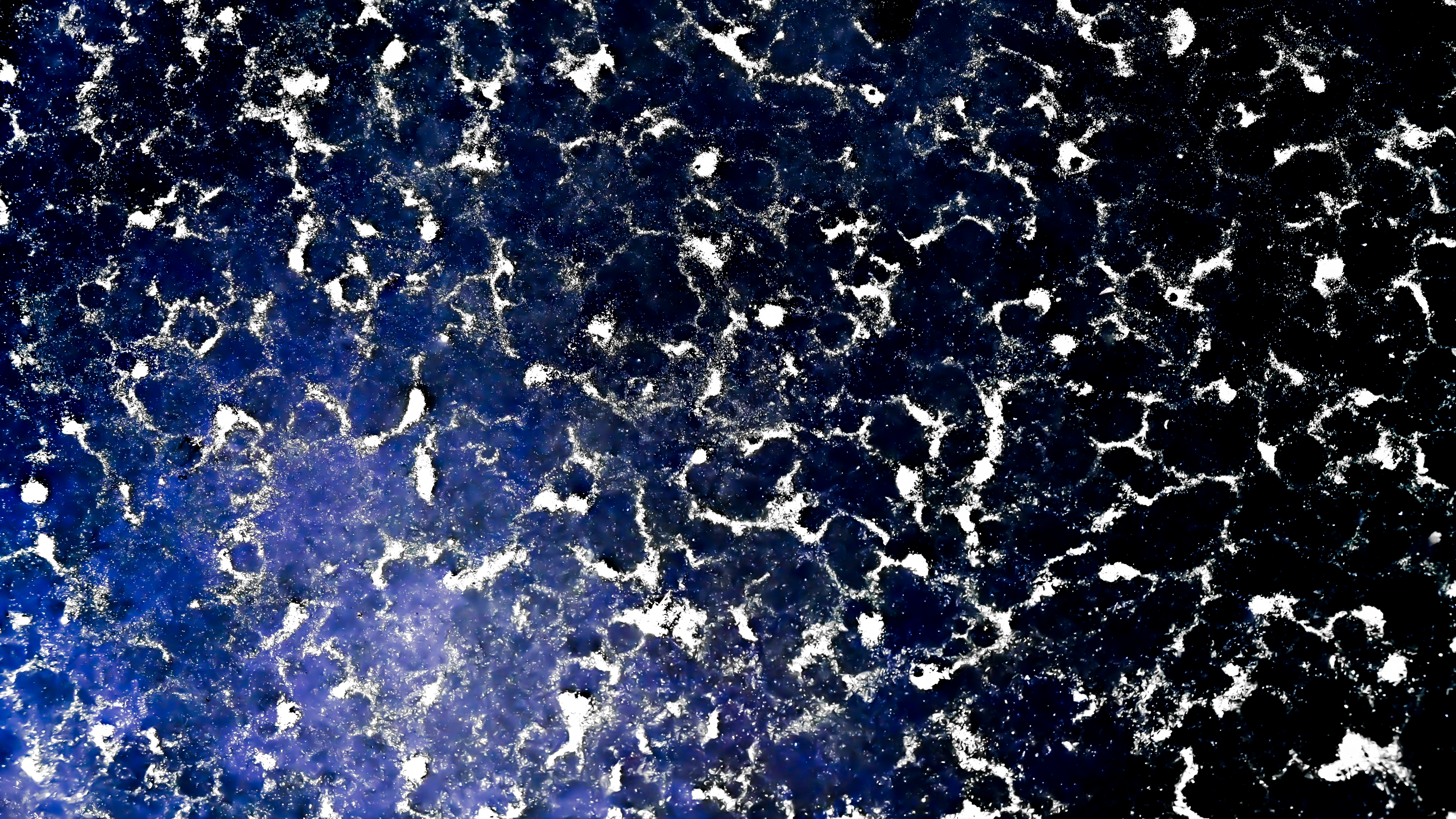 Emerging Artist Exhibition- Transformed Realities