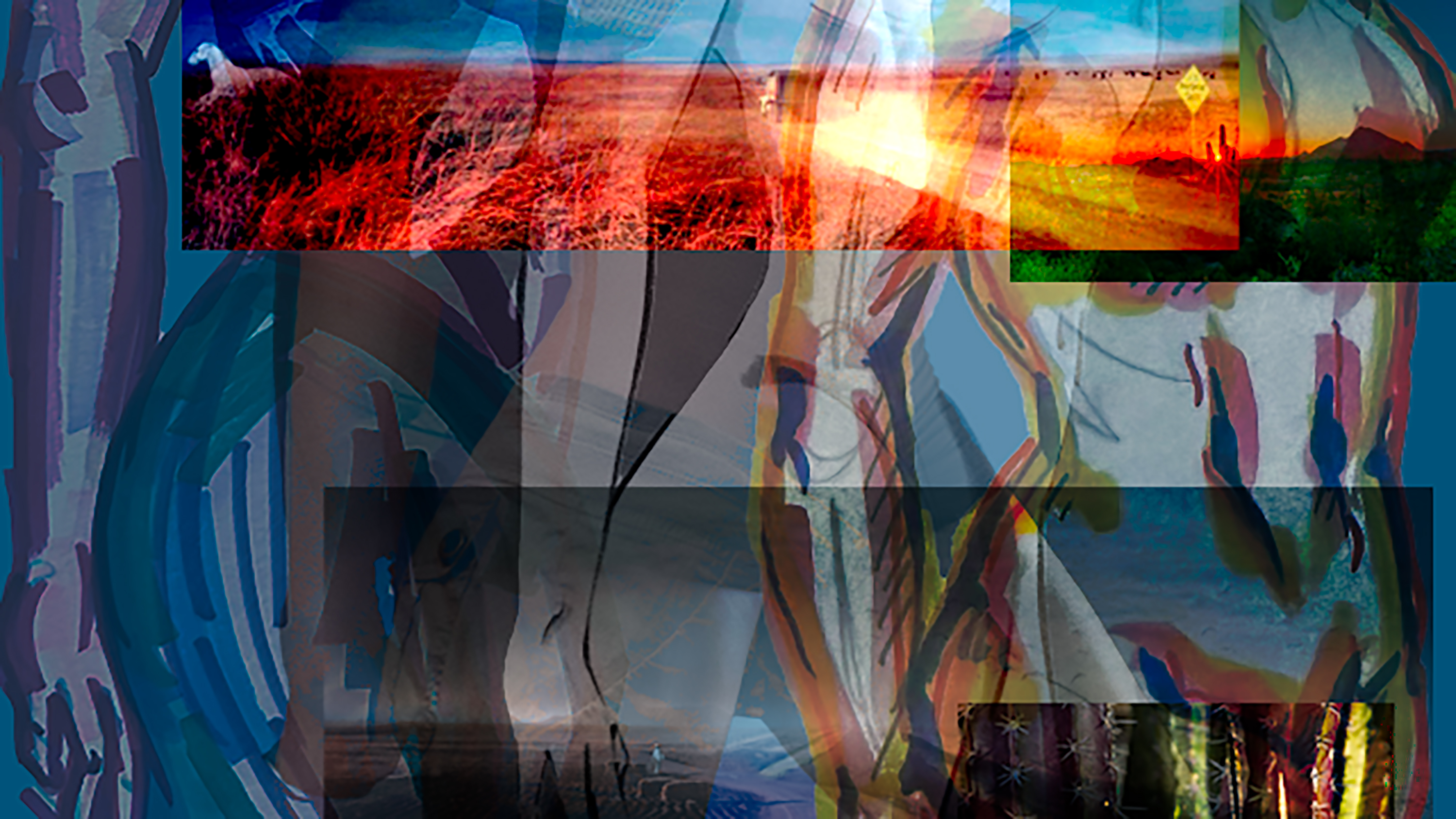 Natural Perspectives Opening Reception