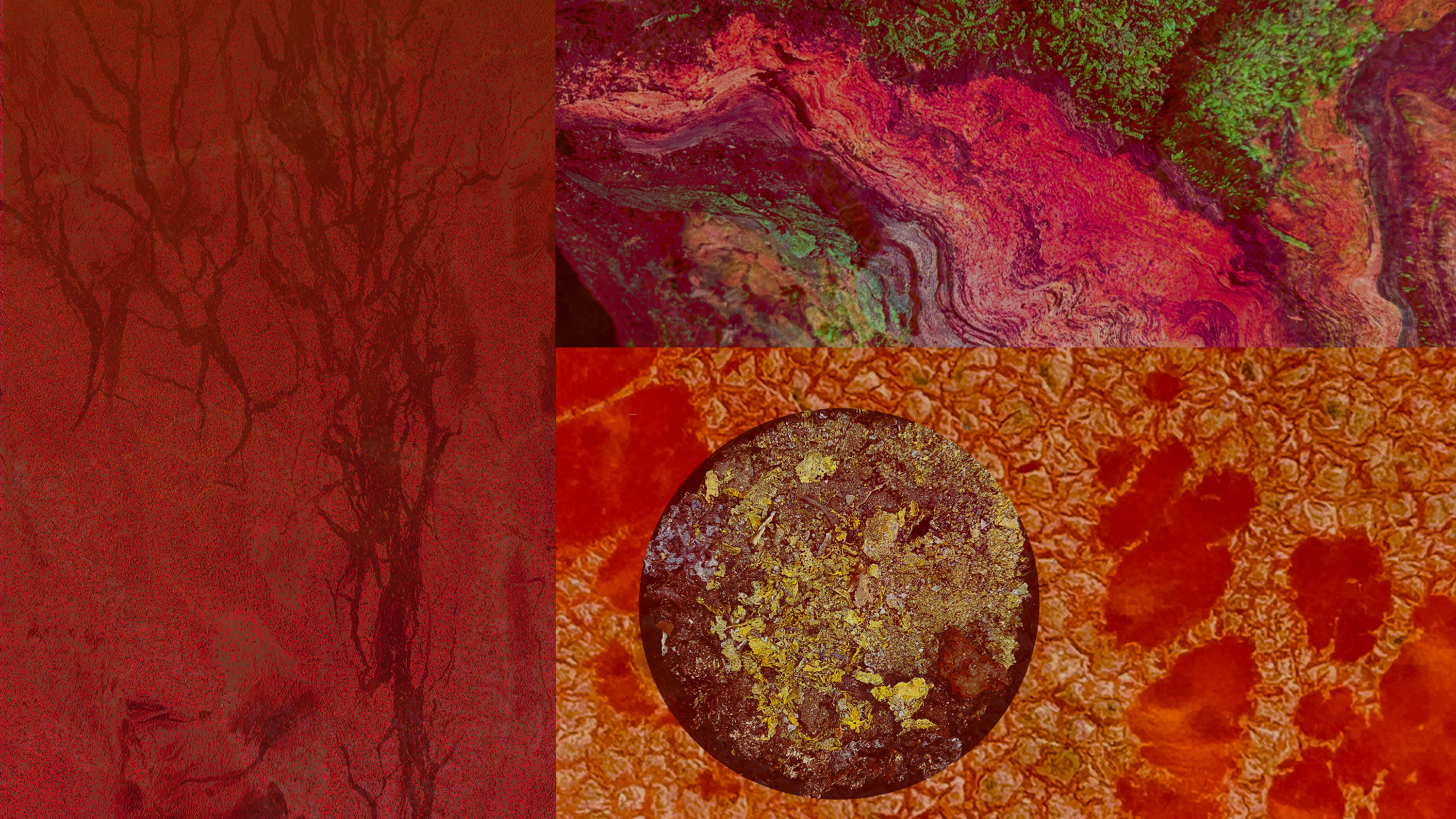 You Can't Fool Mother Nature... Opening Reception