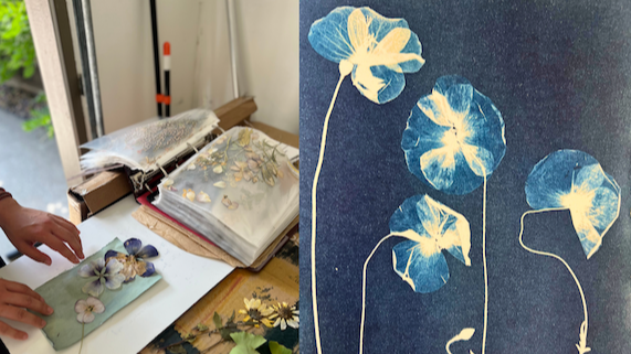 Workshop: Printing with Light - Introduction to Cyanotype with Sarah Martiny
