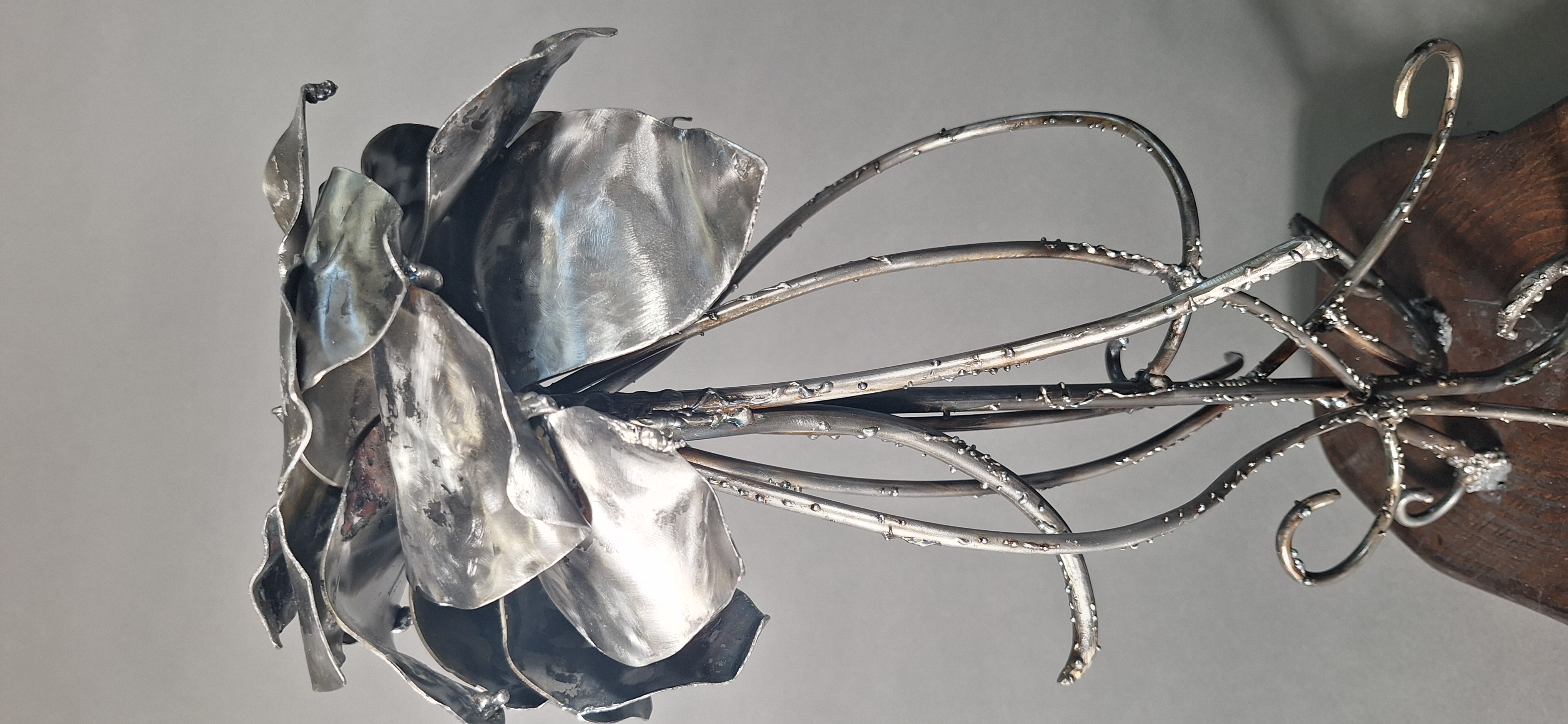 Tangled Harmony - Image 3