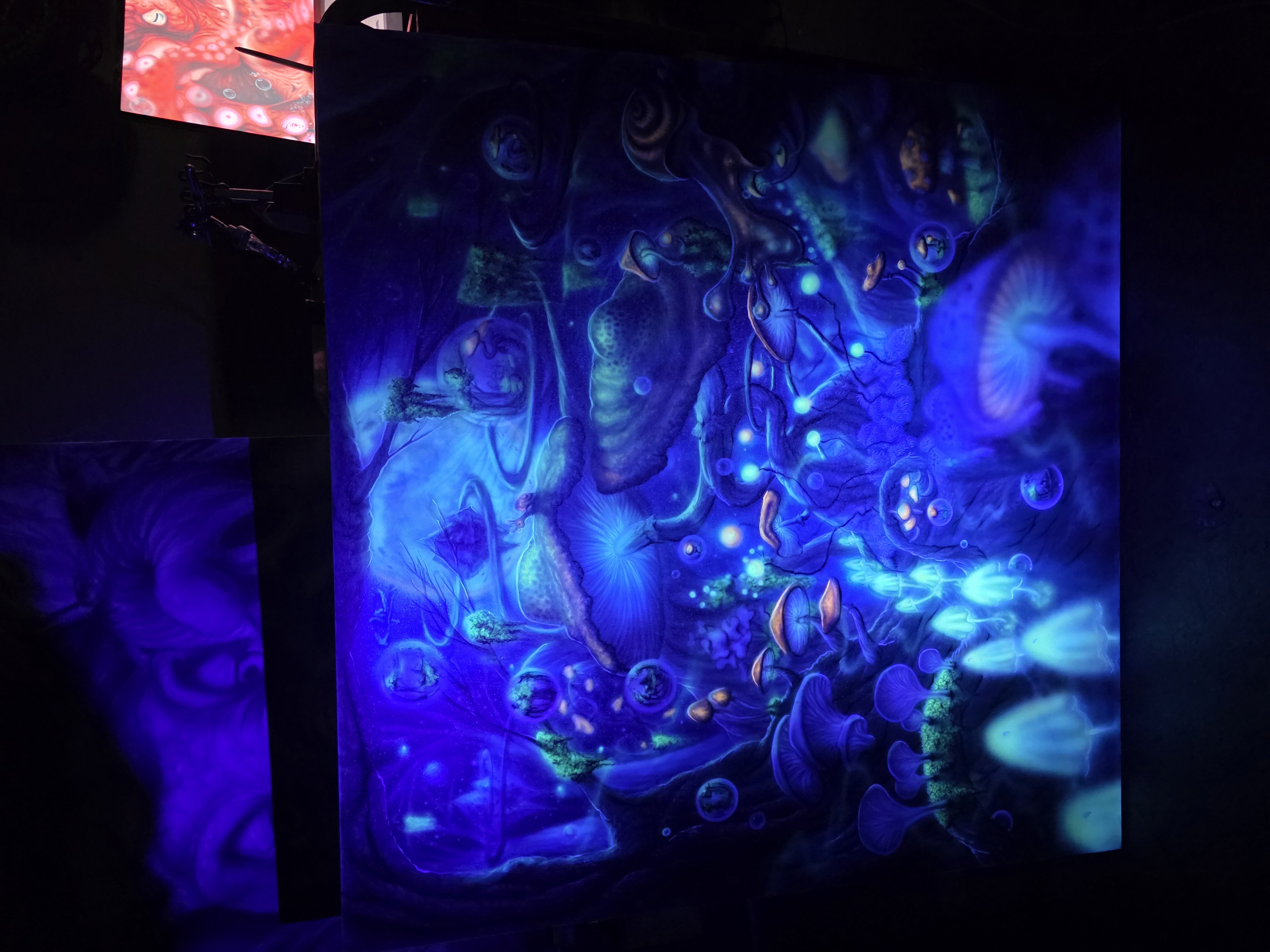 Mushroomland - Image 2